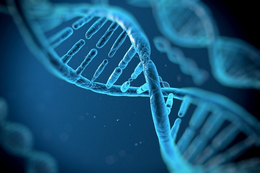 Редактор генома CRISPR: технология, которая изменит медицину